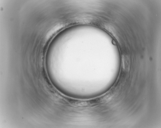 X0000088640675200706151943