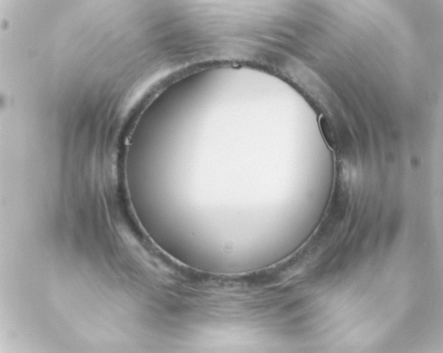 X0000088640676200706151943