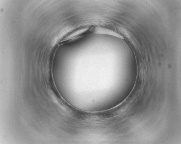 X0000088640677200706151943