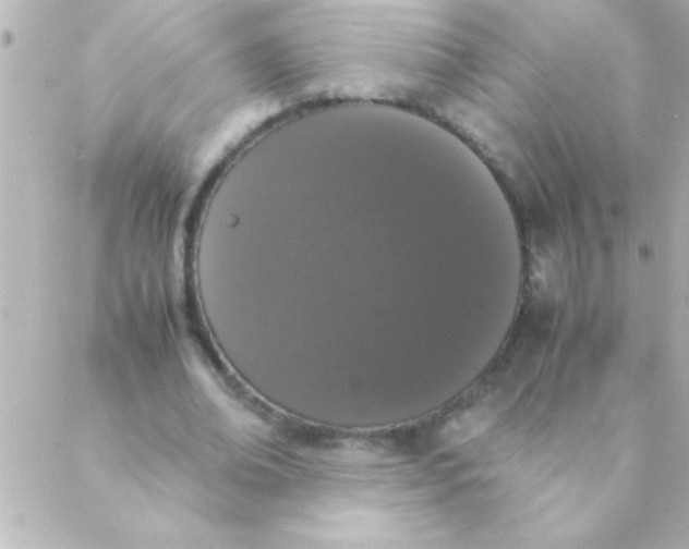 X0000088640678200706151943