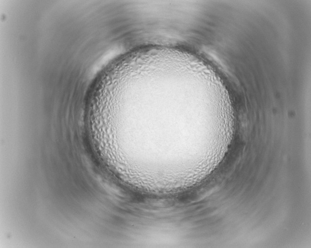 X0000088640679200706151943