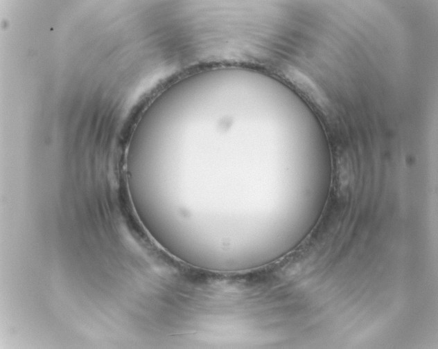 X0000088640680200706151943