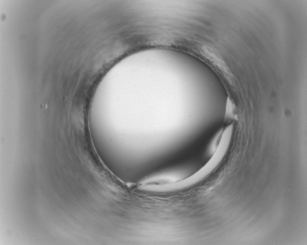 X0000088640681200706151943