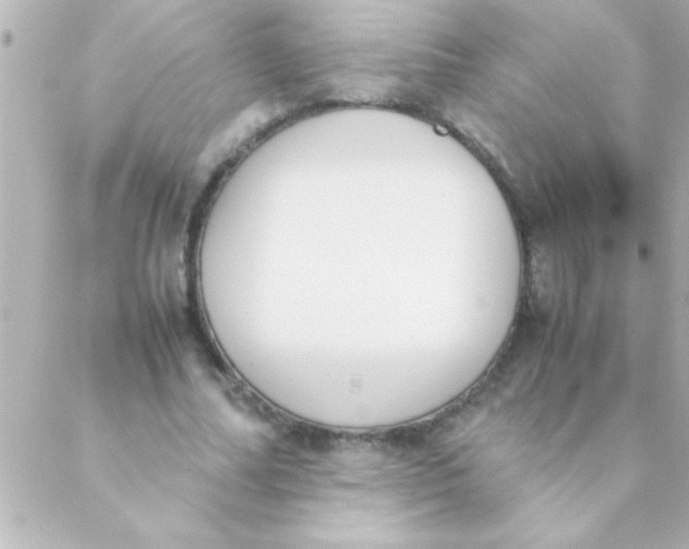 X0000088640682200706151943