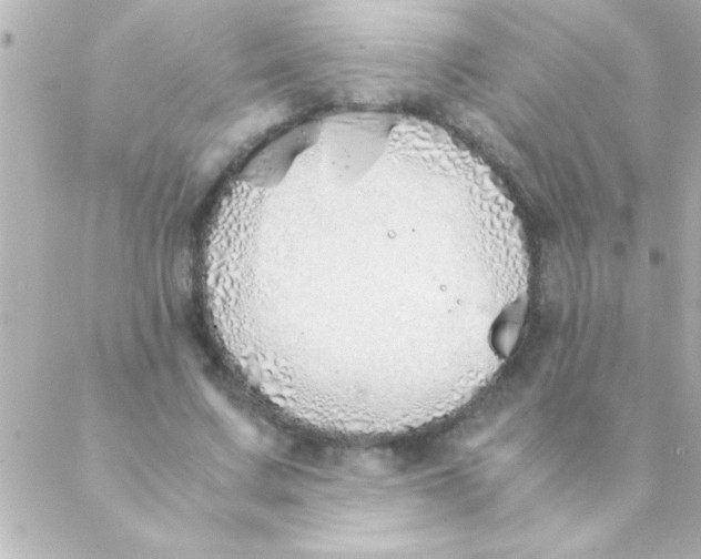 X0000088640683200706151943