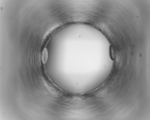 X0000088640684200706151943