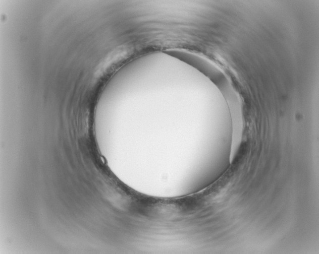 X0000088640685200706151943