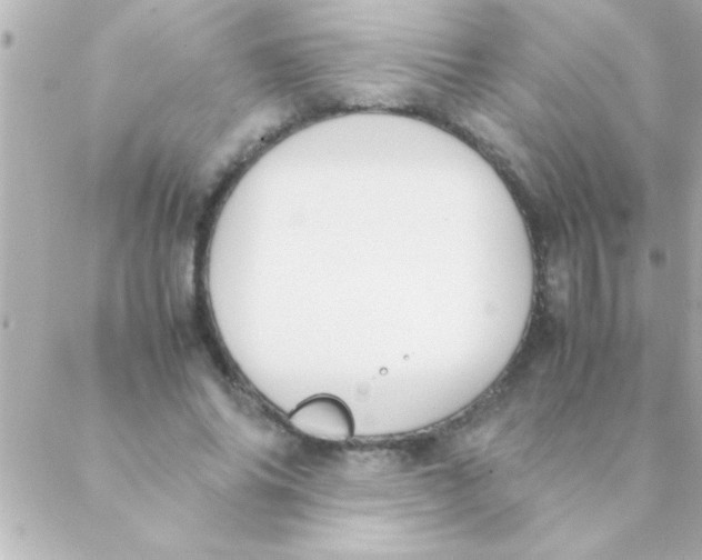 X0000088640686200706151943