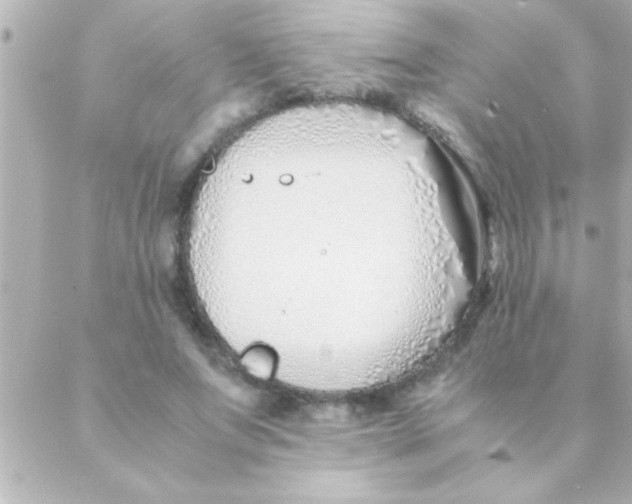 X0000088640687200706151943