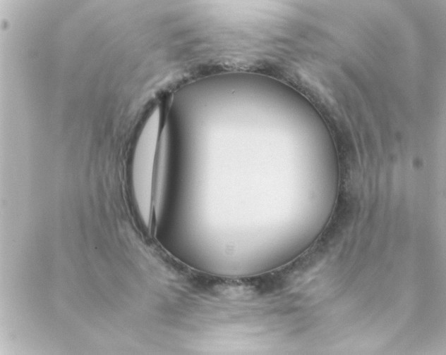 X0000088640689200706151943