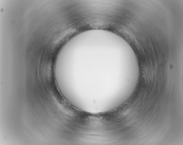 X0000088640690200706151943