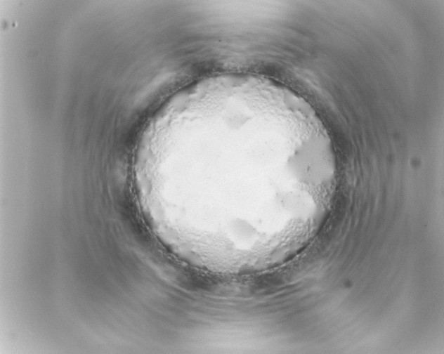 X0000088640691200706151943