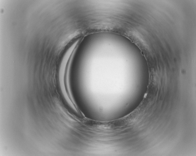 X0000088640692200706151943