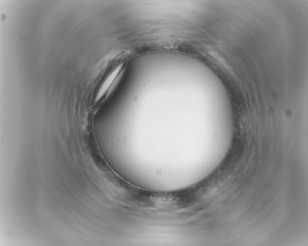 X0000088640693200706151943