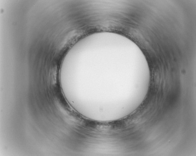 X0000088640694200706151943