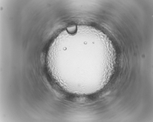 X0000088640695200706151943