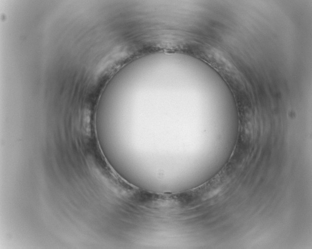 X0000088640696200706151943