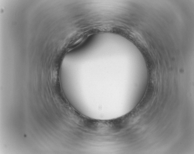 X0000088640697200706151943