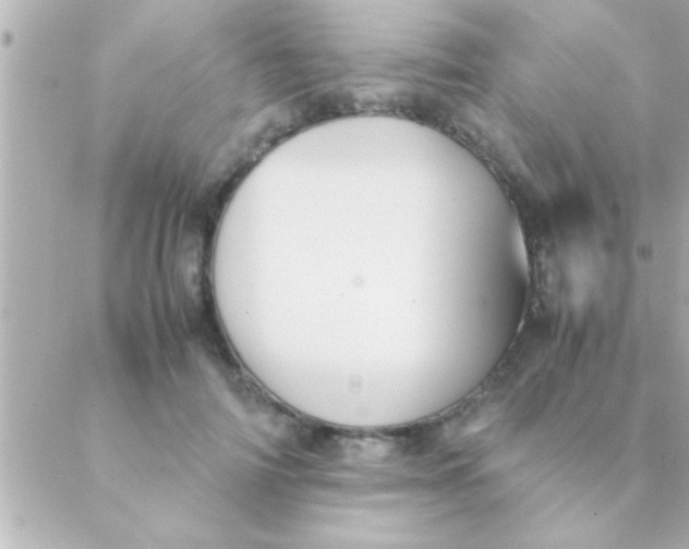 X0000088640698200706151943