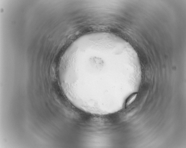 X0000088640699200706151943