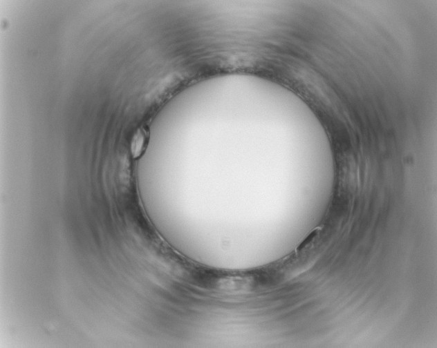 X0000088640700200706151942