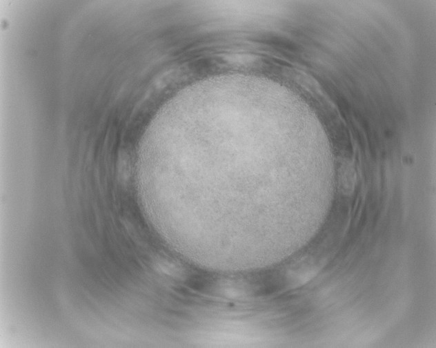 X0000088640701200706151942