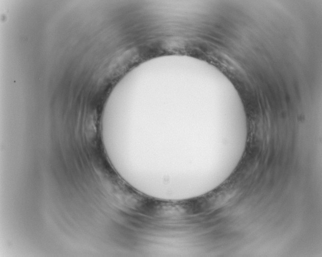 X0000088640702200706151942