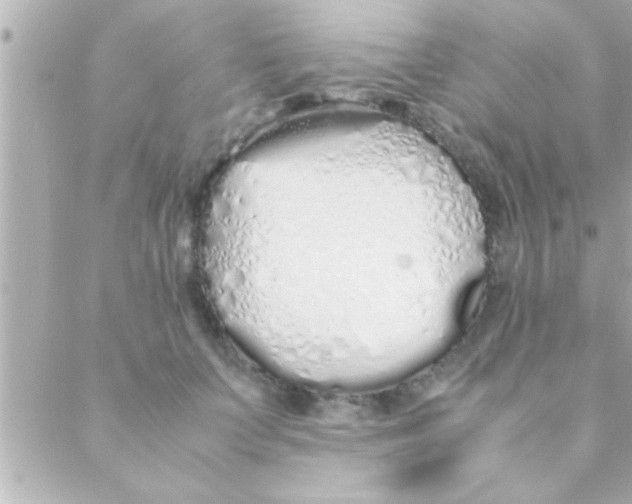 X0000088640703200706151942