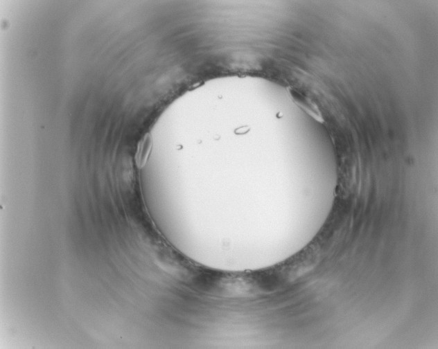 X0000088640704200706151942