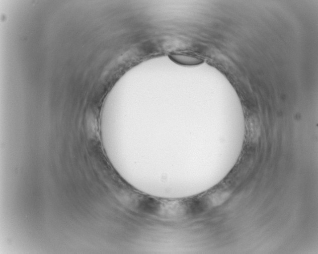 X0000088640705200706151942