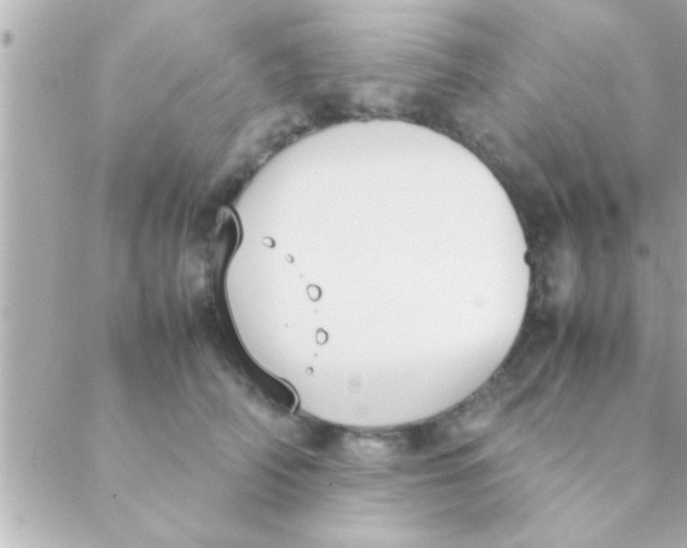 X0000088640706200706151942