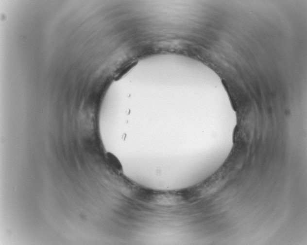 X0000088640708200706151942