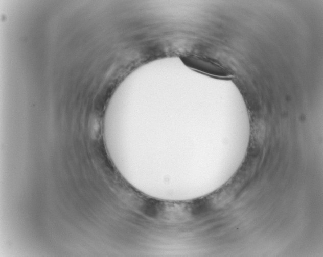 X0000088640709200706151942