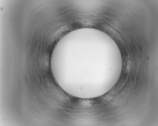 X0000088640710200706151942