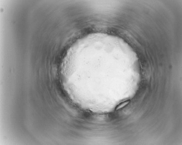 X0000088640711200706151942