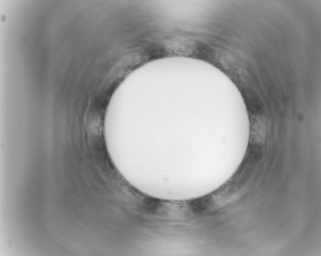 X0000088640713200706151942