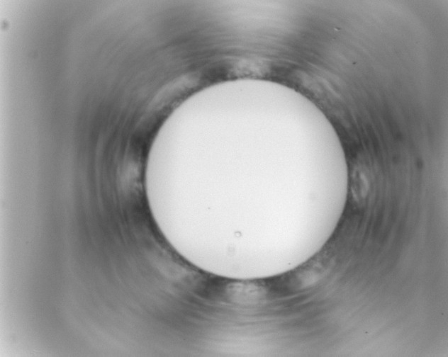 X0000088640714200706151942