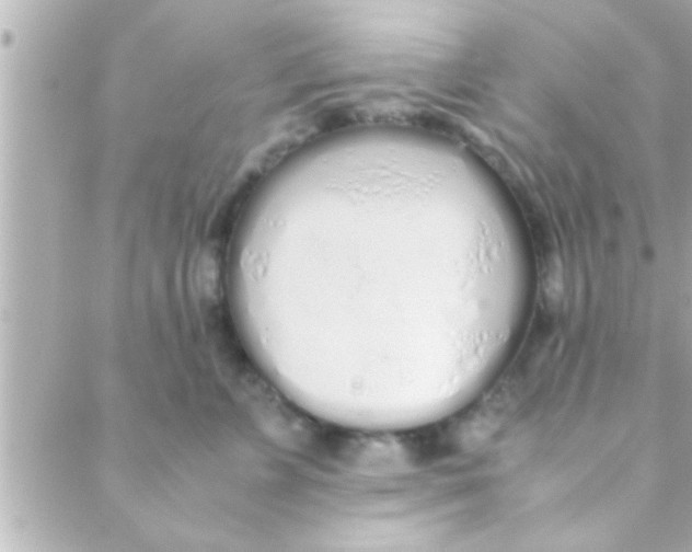 X0000088640715200706151942