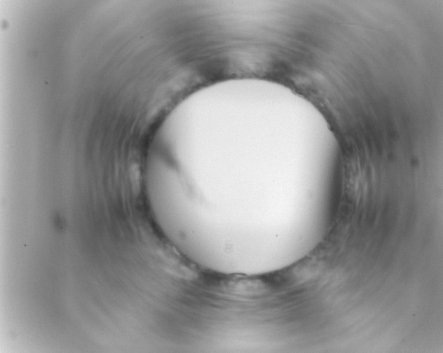 X0000088640716200706151942