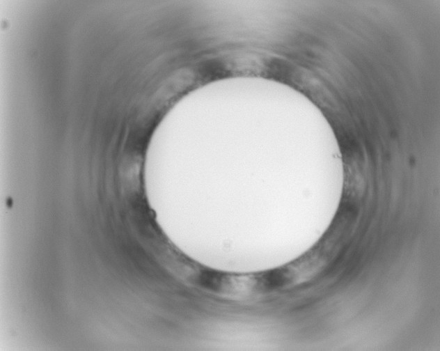 X0000088640717200706151942