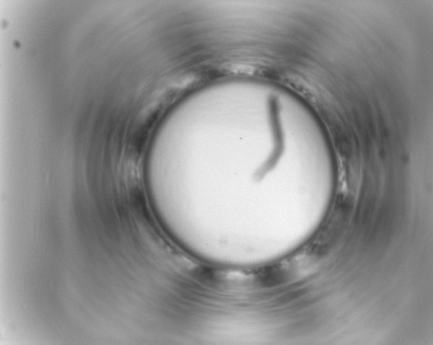 X0000088640718200706151942