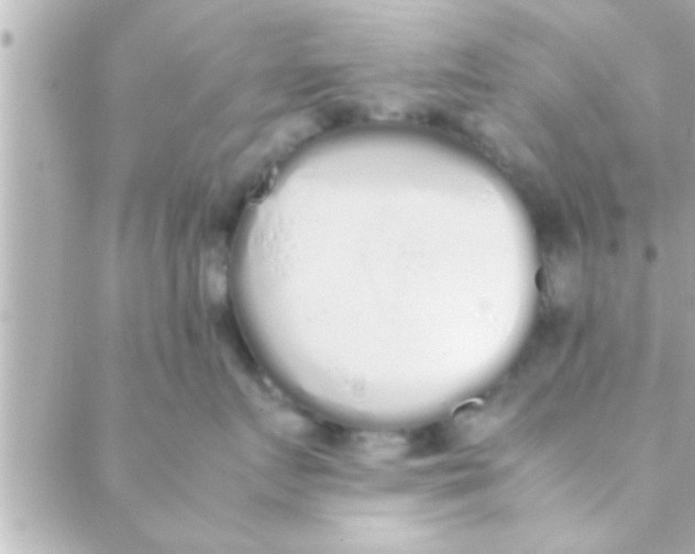 X0000088640719200706151942