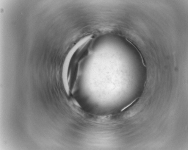 X0000088640720200706151942