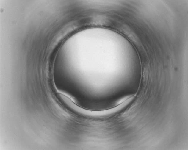 X0000088640722200706151941