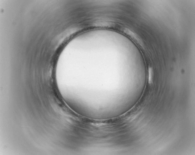 X0000088640723200706151941