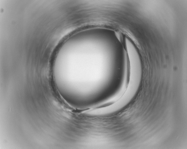 X0000088640724200706151941