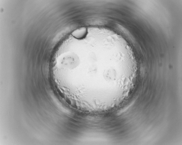 X0000088640725200706151941