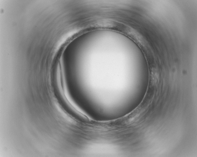 X0000088640726200706151941