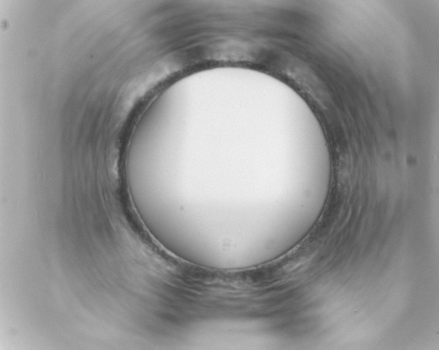 X0000088640727200706151941