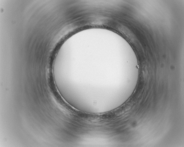 X0000088640728200706151941